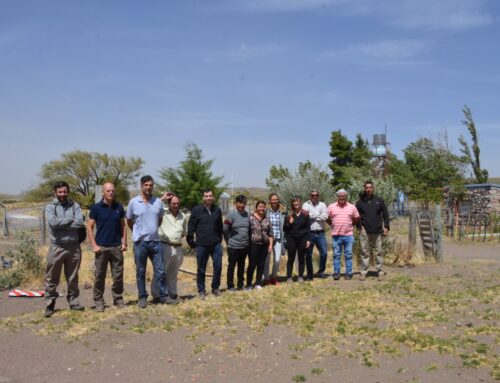 Inician las obras de electrificación en parajes cercanos a Piedra del Águila